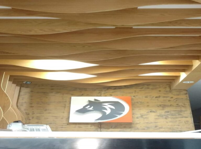 WhatsApp Image 2025-10-19 at 4.28.54 PM